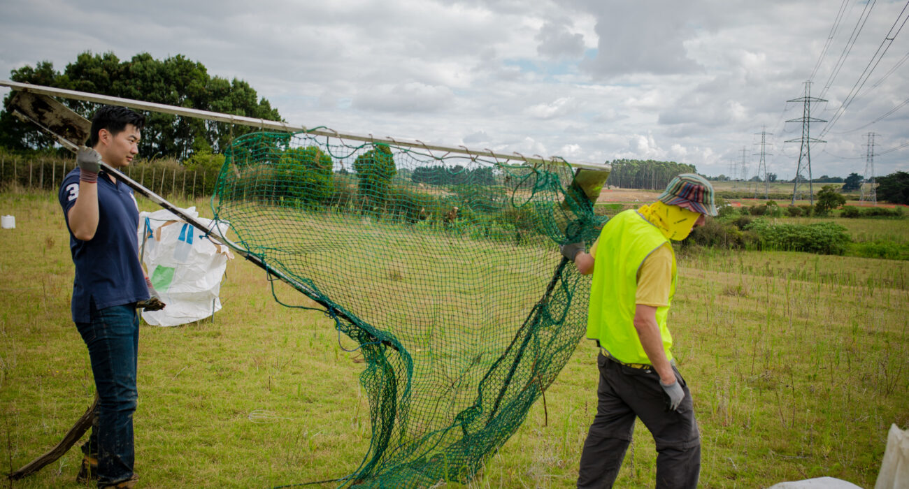 Lyc Drury Creek Clean Up With Auranga Webres 106