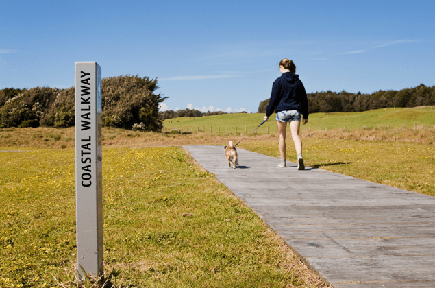 Coastal walking tracks