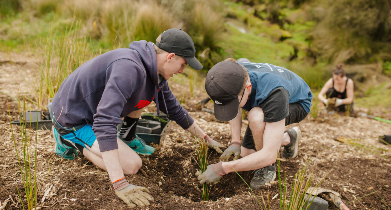 Lyc Auranga Drury Tree Planting 24 9 17 Web Res108