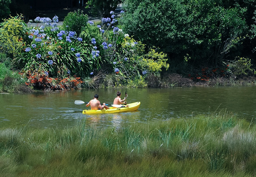Ngakoroa Stream